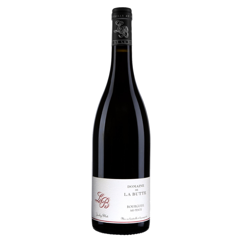 Domaine De La Butte Bourgueil Mi-Pente | Red Wine